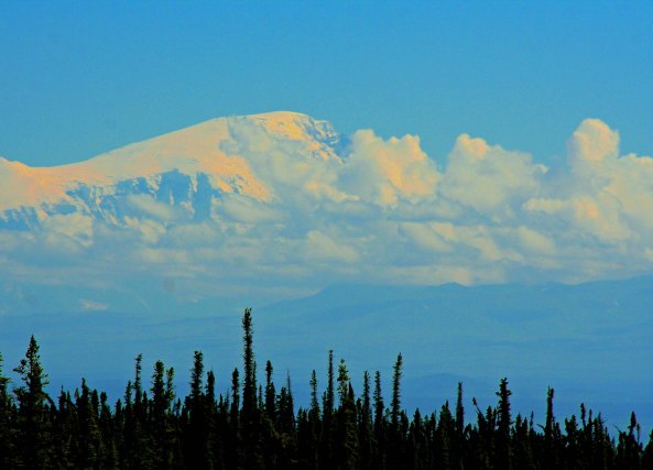 I was drawn to Alaska by its incredible wilderness. Lisa Murkowski, one of Alaska's Senators, recently introduced legislation to sell off all of America's public lands including national forests, wilderness areas, national historic sites and national seashores (everything except National Parks) to private developer so they can make money off of the lands. 