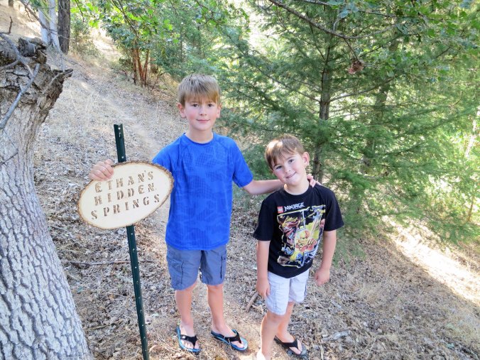 Each boy has his own trail on our five acres. And each trail is substantially different. Ethan's trail incorporates a spring. Ethan is standing next to the sign with his brother Cody.