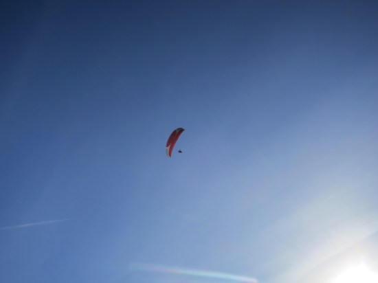 And climbing high into the sky.