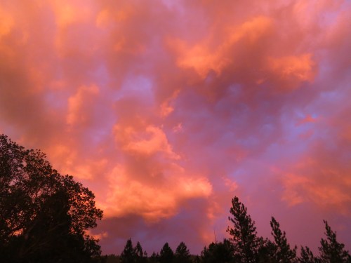 One evening we enjoyed an incredible sunset (this is not photoshopped) followed by a thunderstorm, which is never welcome in the summer due to the danger from fires.