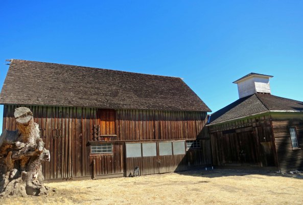 A barn built by the Burdells and other ranch structures still stand at Olompali Park. And I have a weakness for old barns. (grin)