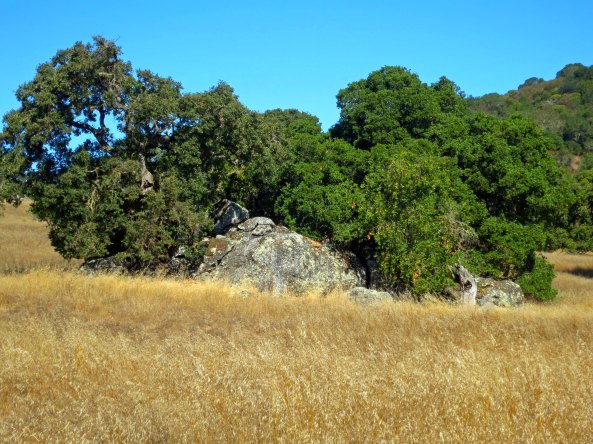 This large rock with its gorgeous backdrop above the barn caught my attention.