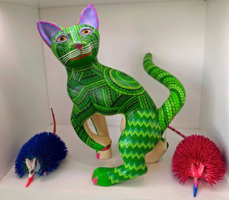 And here we have Felix Domesticatus.