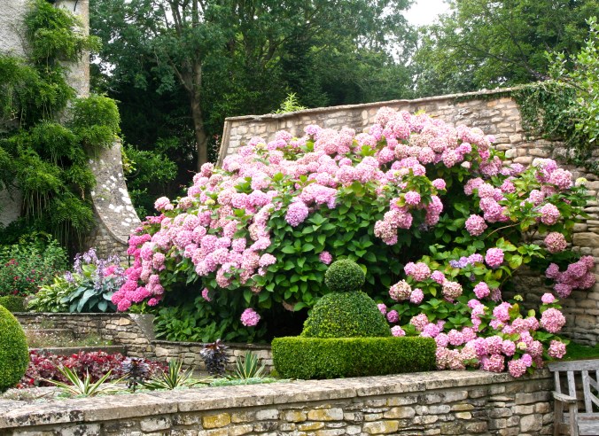 Brilliant colors galore. My last photo at Camers.