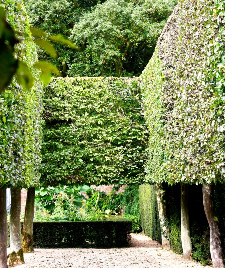 An example of a hedged room.