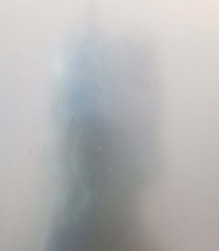 The head of the iguana appearing through frosted glass reminded me of the Creature from the Black Lagoon. 