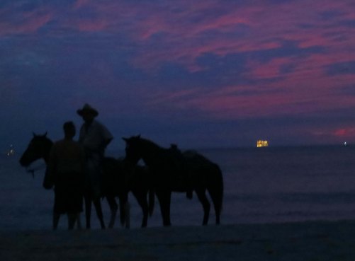 14 Cowboy and cruise ship in Puerto Vallarta