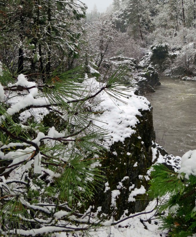 Our walk takes us down to the Applegate River, which borders on the front of our property.