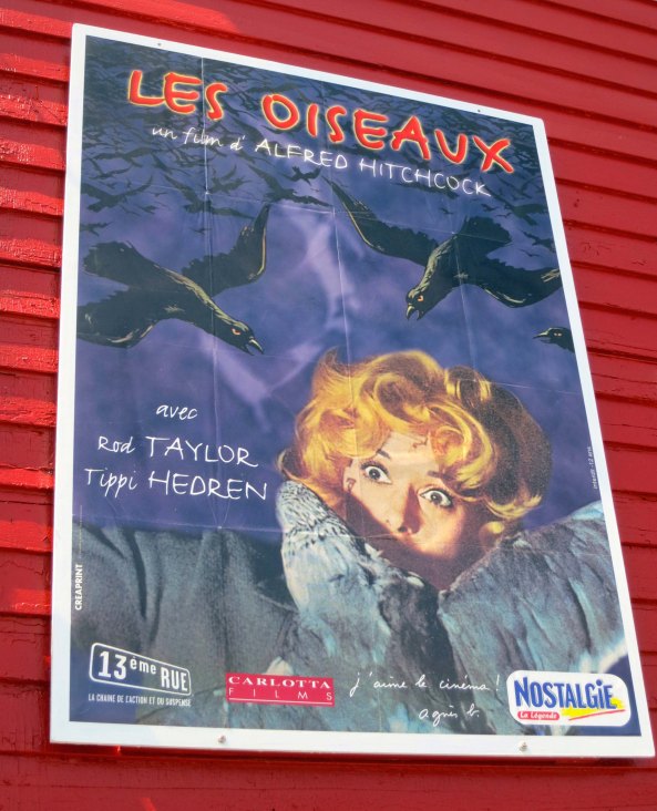 A number of film posters are found inside the Bodega Country Store. I've included this one featuring Tippi Hedren for my followers from France.
