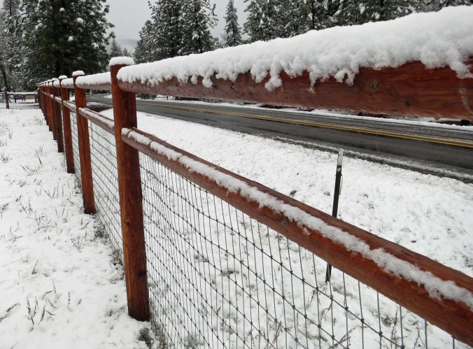 We return to our lower property following Upper Applegate Road.