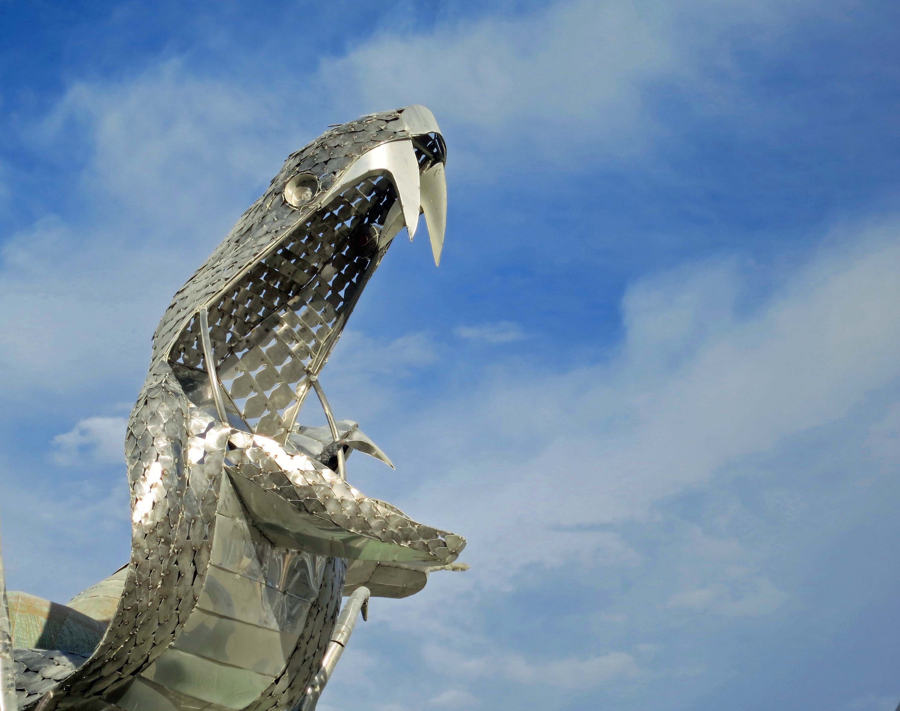 12 Medusa's Cobra at Burning Man
