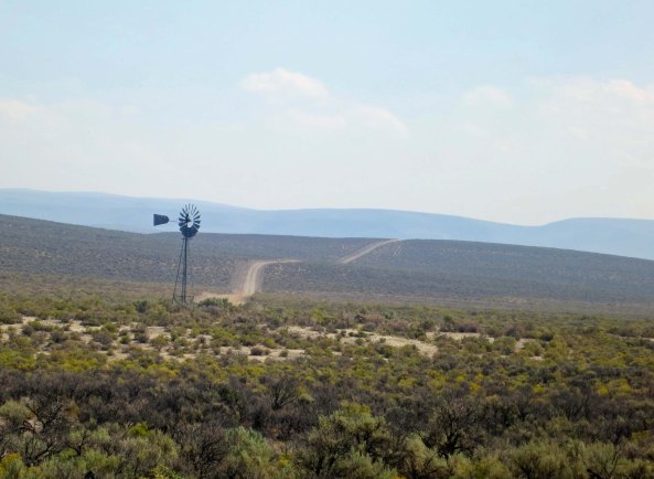 Once you leave Cedarville and a couple of other even much smaller towns, this is the kind of country you see on the way to Burning Man.