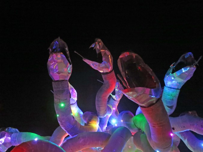 16 Close up of Medusa's snakes at Burning Man