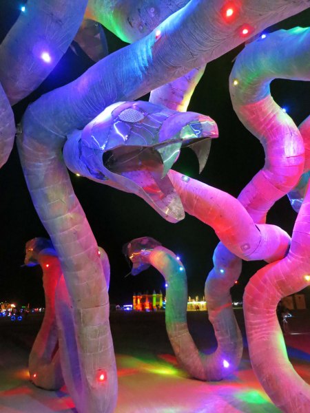 17 Threatening Medusa snake at night, Burning Man