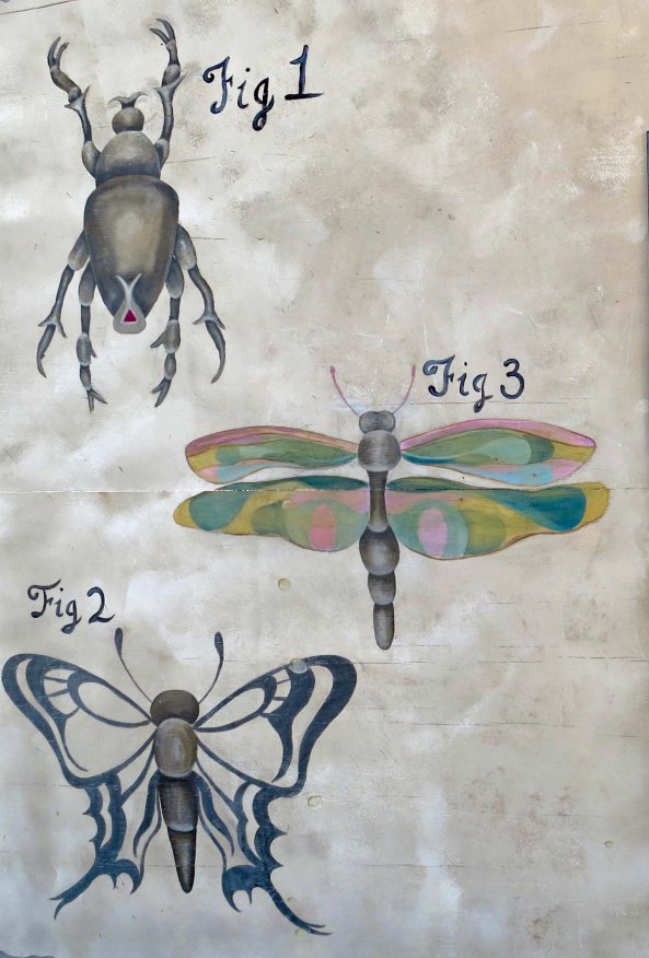 Handsome bugs. Number 4, not seen, BTW, was a mirror.