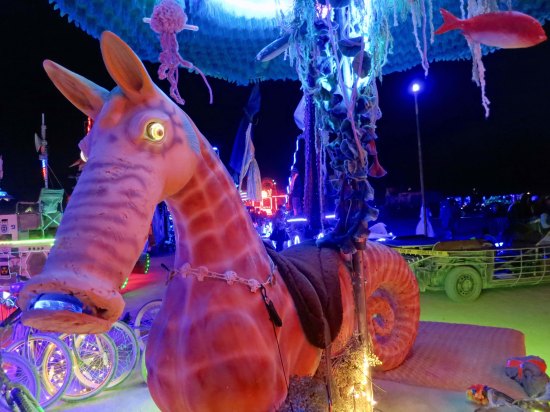 A seahorse was accompanied by a jelly fish and other ocean life.