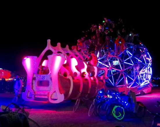 Exotic bug? It's dome back made a good viewing station to watch the Man burn.