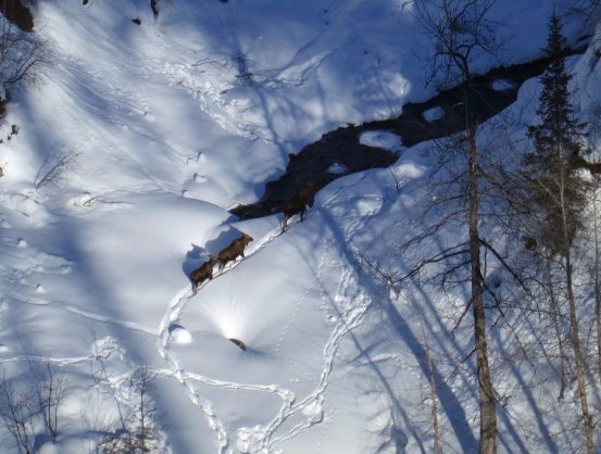 I liked the shadows they cast in the bright sunlight. 