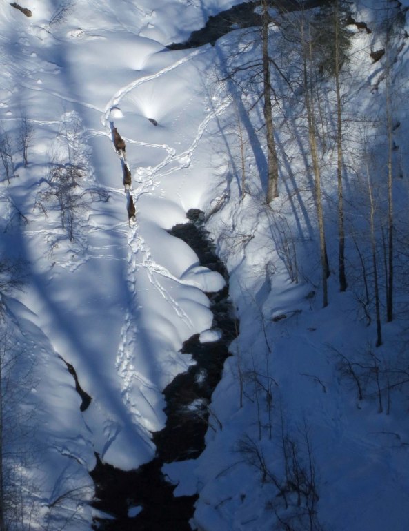 We were there long enough to see them moving along at the upper end of the small lake.