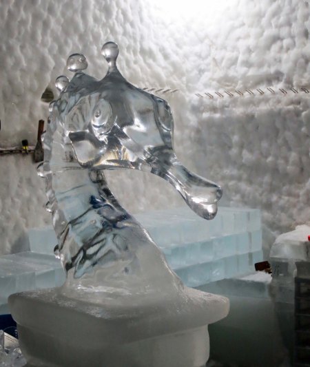 I thought this carved ice head of a seahorse was rather elegant.