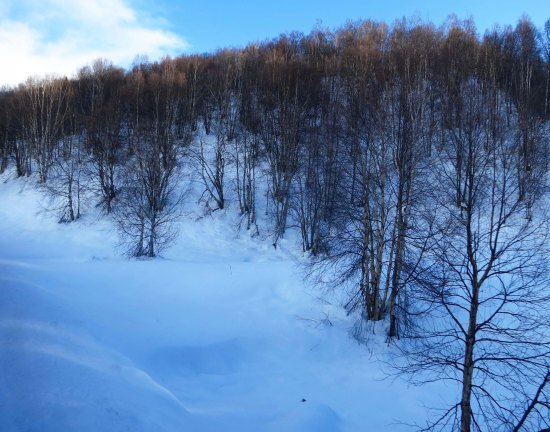 My nose was glued to the window for the whole trip. (Except of course to eat and pay attention to the family.) Many of the views, like this one, were right beside the track.