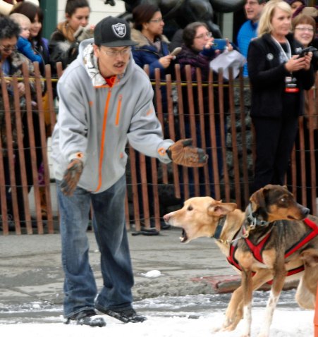 Dog handlers are assigned to keep the dogs in place until it is time to run. The far dog seems to be barking, "Now!" While the near one says, "Are they ready?"