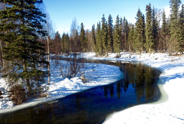Numerous rivers dot the Alaska landscape we found several along the tracks.