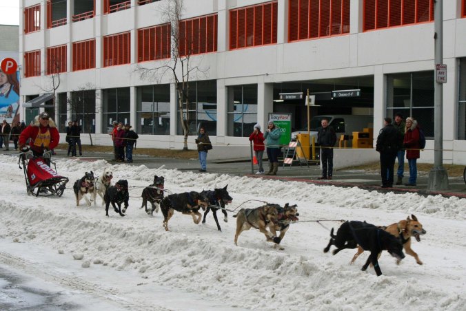 Peggy caught the dogs racing for the finish line.