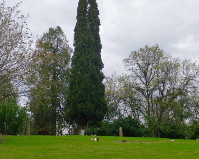 The Graveyard: I could write a book about it. It was just across the alley outside our back yard and dominated many of my early memories. In the day time it was an elaborate play pen. At night it became the dreaded home of dead people and ghosts.