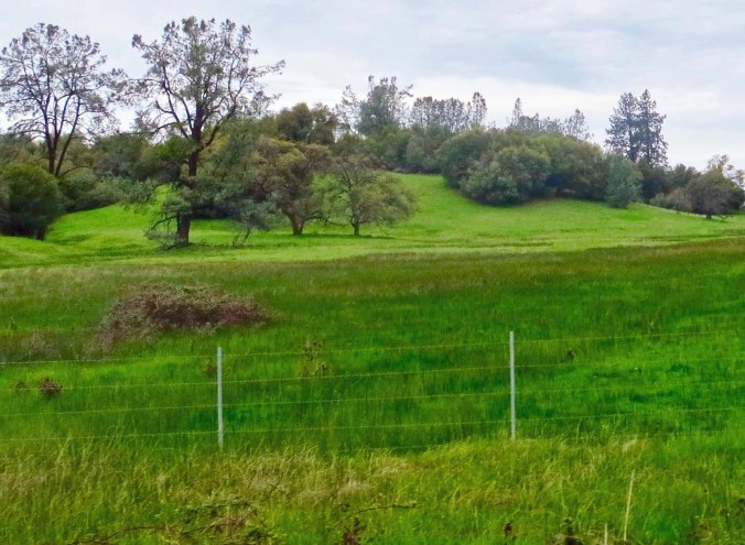 Tony Pavy lived just outside of Diamond on the road to El Dorado. As I cycled past it, I was reminded of the time he threatened to shoot me with a shotgun.