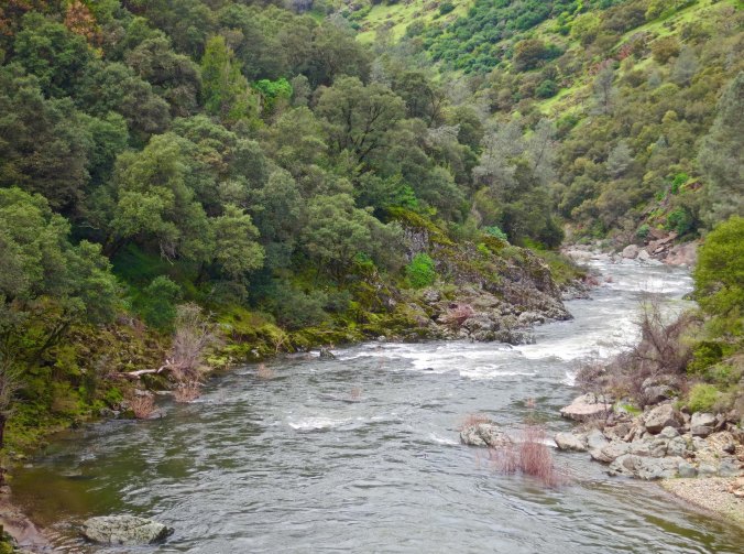 I once organized a student strike so we could have a ditch day as seniors. I wasn't expelled and we got the day. We held our party on the Consumnes River a couple of miles upstream from this photo. I had stopped for lunch at a small greasy spoon restaurant along the river on my bike and was kept company by a cat and a drunk. "You are fucking crazy," he had told me when he learned of my journey.