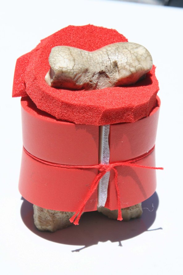 Bone dressed up for the Canyon trip in his own life best.