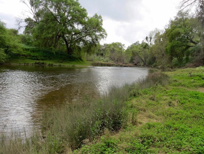 The Merced River as it flows through McConnell State Park. When Peggy and I drove through there a few weeks ago, a sign warned swimmers that there were leeches in the water. We didn't go swimming.