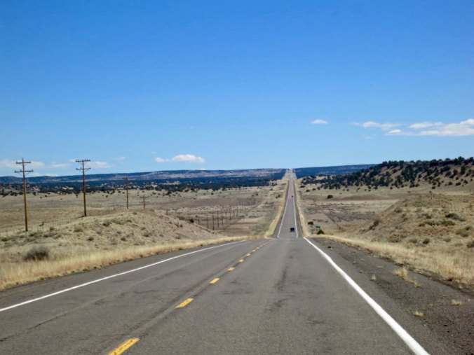 Do you have any idea how many remote, lonely roads there are in America and Canada. I found many of them on my bicycle. They did have a way of going on and on...