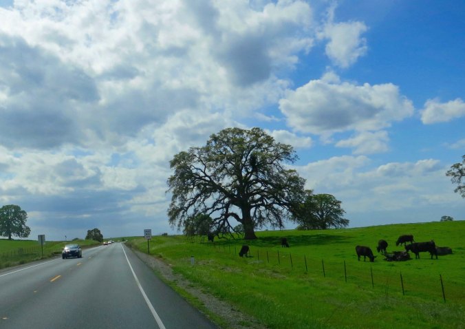 The decision, heading for the flat lands. 