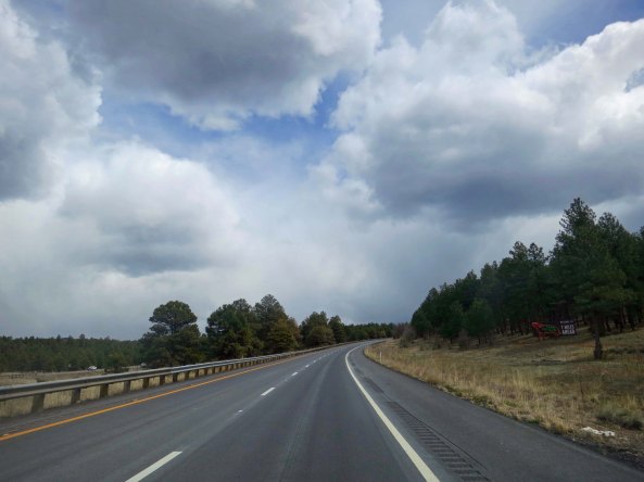It was a steady climb out of Ash Fork to Flagstaff. But it had its rewards. I came on the first pine trees I had seen since I left Greenhorn Pass. I was so excited that I got off my bike and did a dance. Then I had to pee. You know how that goes...