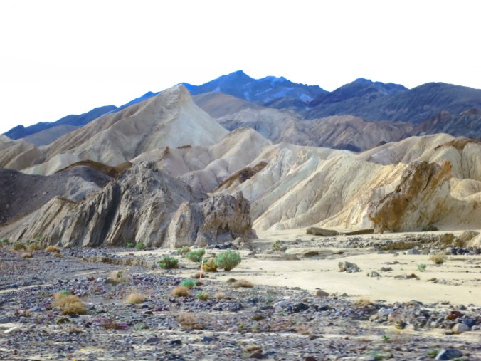 Another view of the Canyon.