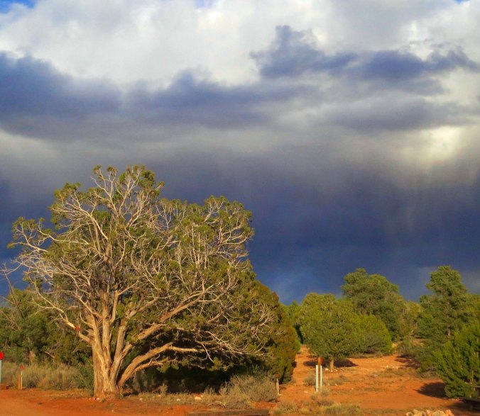 Sunshine lights up dark clouds that were promising rain at the campground.