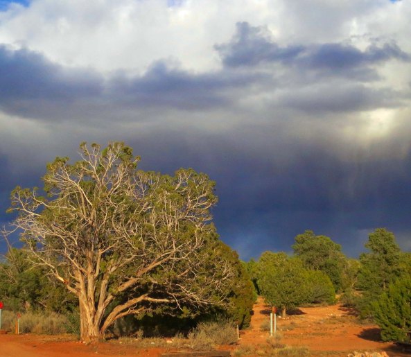 Sunshine lights up dark clouds that were promising rain at the campground.