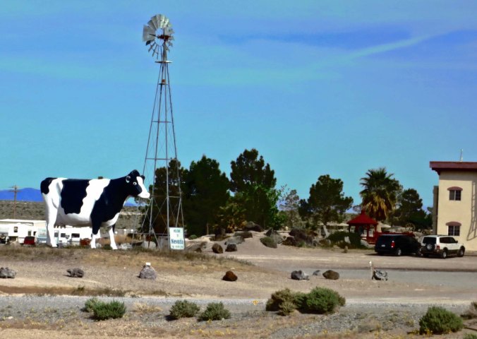 Peggy and I found this large one along the highway as we retraced my bike route. It wasn't there when I biked through the area. I think I would have spotted it.