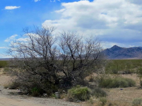 Looking out toward my home for the night.