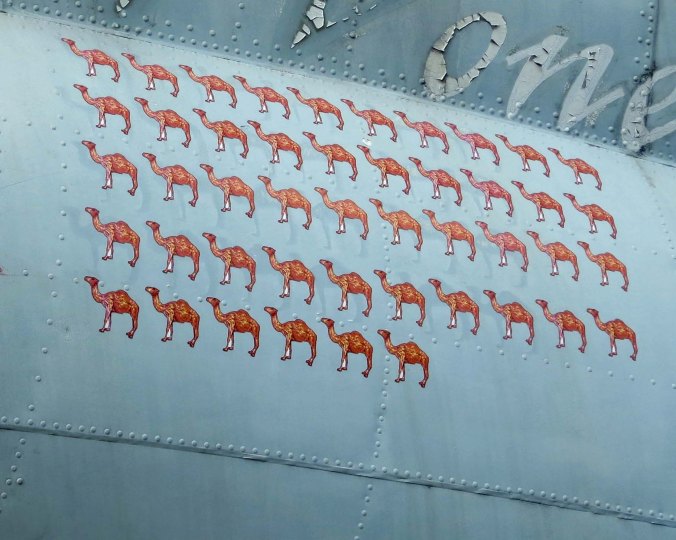 A close of the camels that represented the number of missions flown over the Hump.