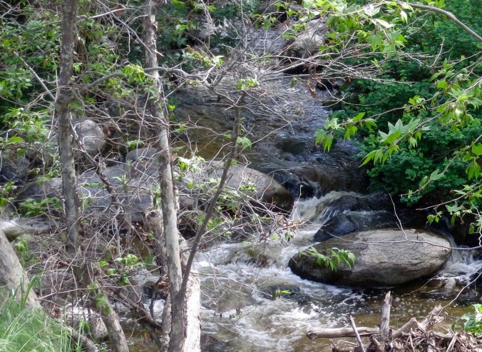 A charming stream beckoned.