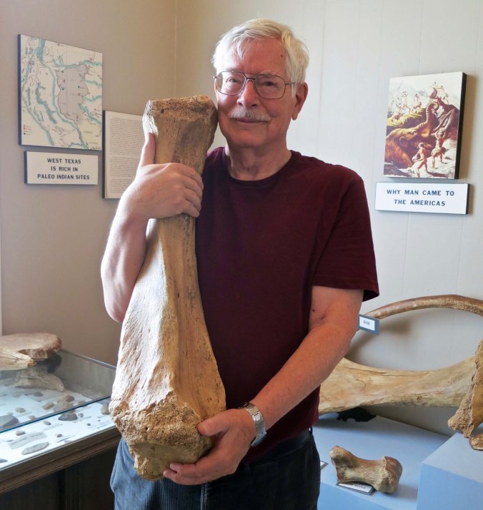 Texas is like this bone, big. I found this mastodon bone at the Garza County Museum in Post, Texas.