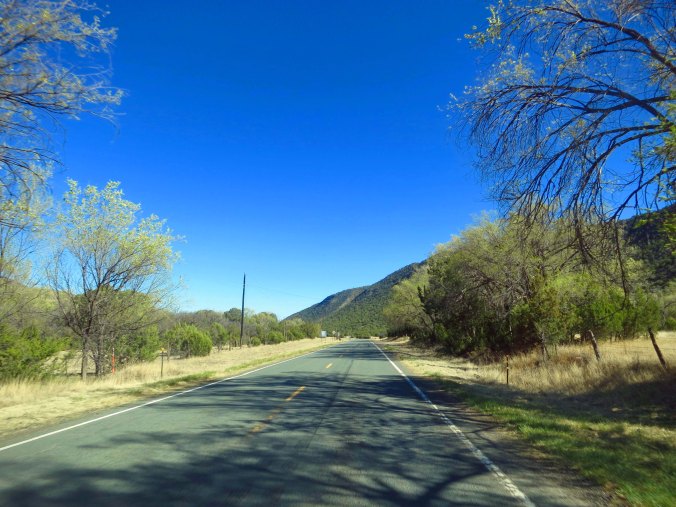 My road shot for the day. I really enjoyed the trees and green grass I found riding along the Rio Hondo River. This may look dry and barren to you. Believe me, it wasn't.