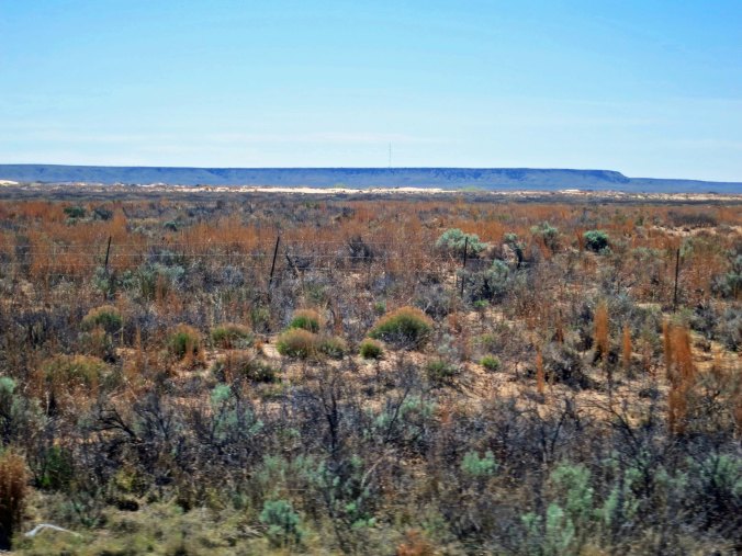 The looms in the distance. The tan line that seems to be at the base is the Mescalero Dunes.