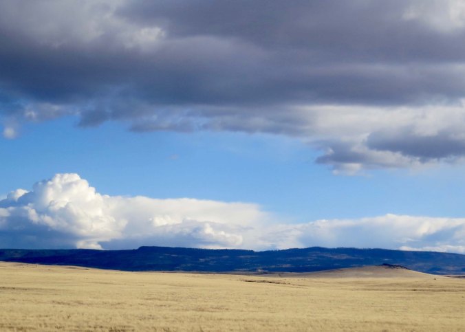 Desert lands can have great beauty.