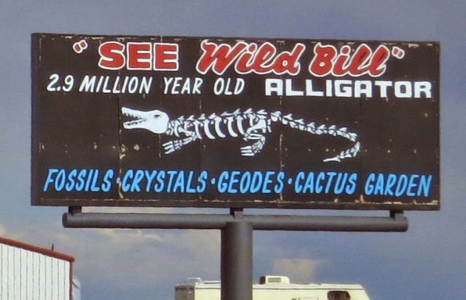 Fossils are found throughout the area. Wild Bill serves as an attraction to get people into the shop.
