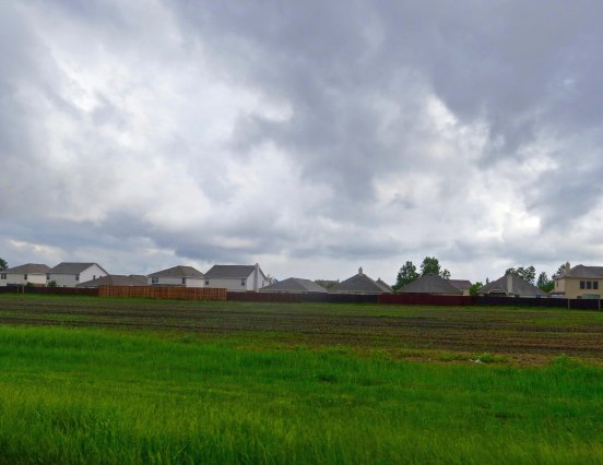 Peggy and I found suburb after suburb where there had been farms in 1989.