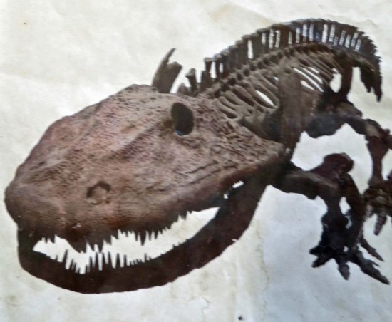 And then I saw a photo the museum featured.